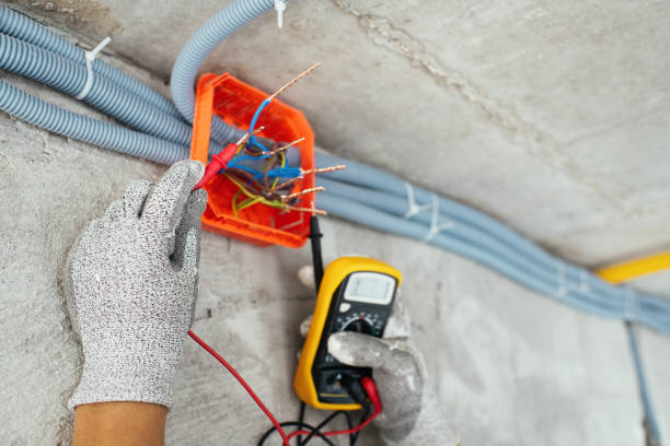 Best Ceiling Fan Installation Electrician  in Holyoke, MA